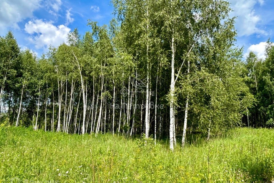 земля городской округ Чехов п Мещерское ул Покровское фото 3