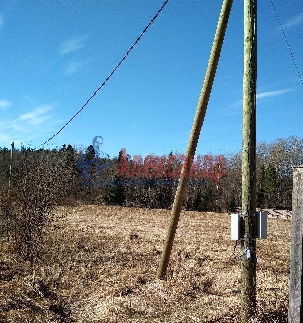 земля р-н Выборгский п Глубокое пр-д 2-й Воробьёвый фото 5