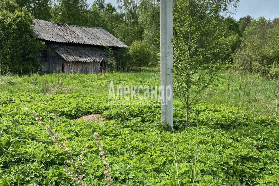 земля р-н Приозерский п Кротово ул Веснинская фото 7