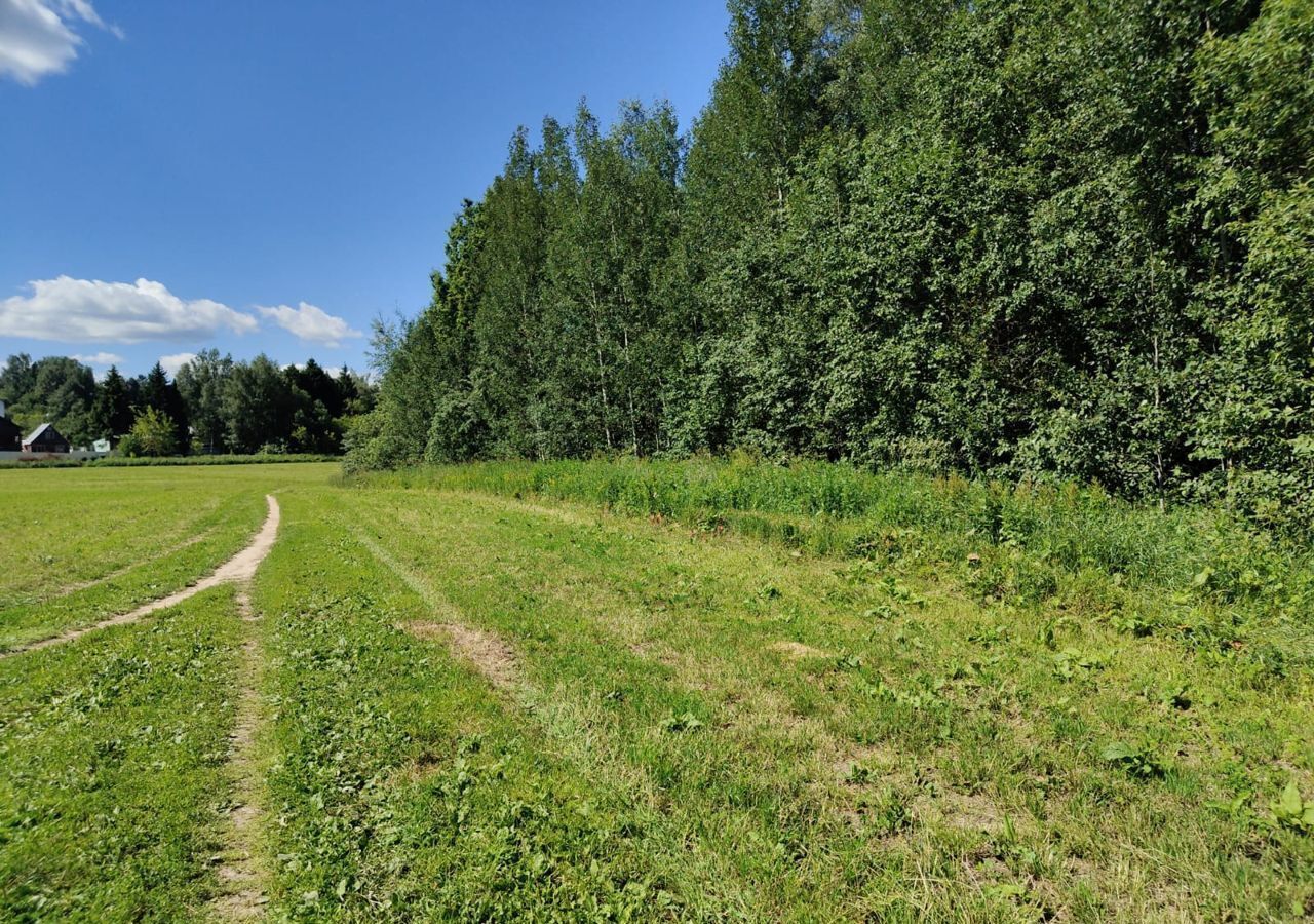 земля городской округ Пушкинский с Братовщина ул Ленинская Правдинский фото 1