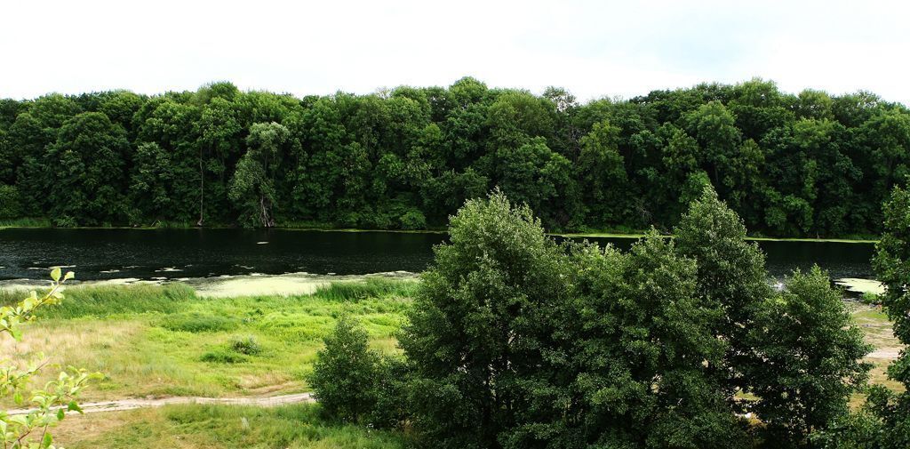 земля р-н Липецкий с Крутогорье сельсовет, Падовский фото 11