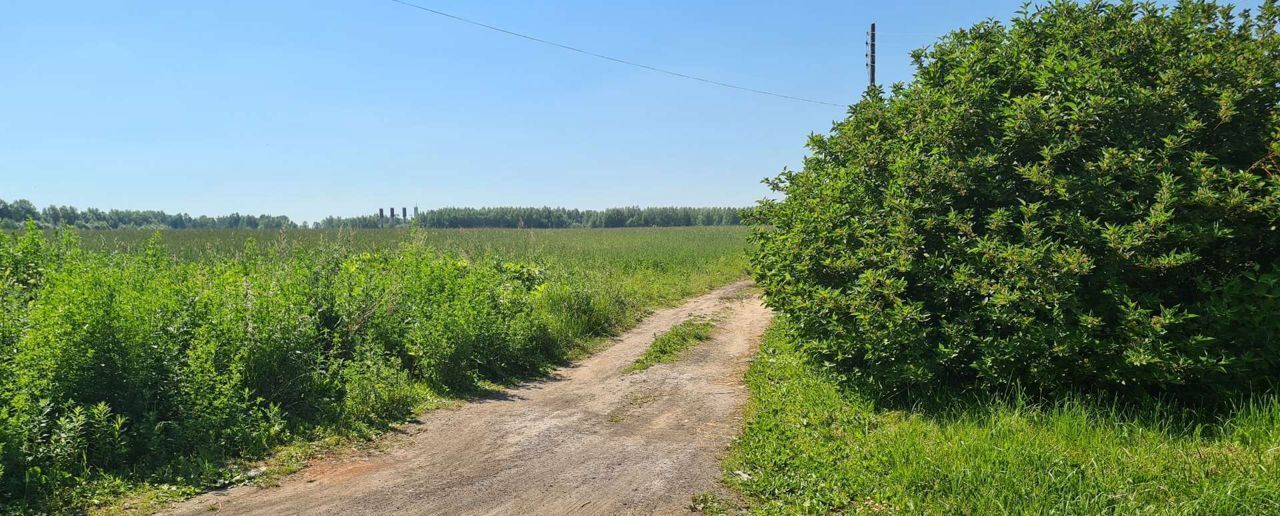 земля р-н Чкаловский д Котельницы Чкаловск фото 5