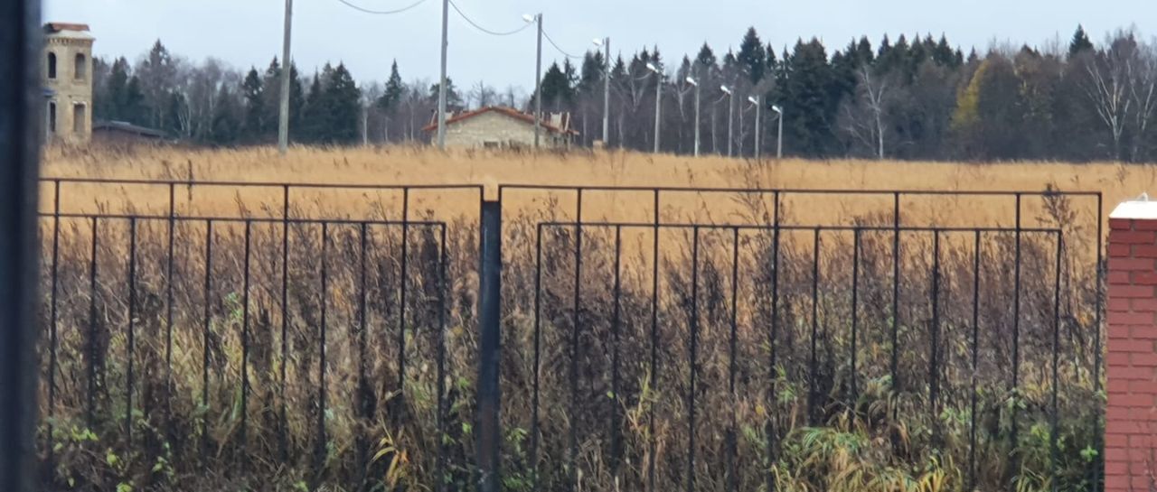 земля городской округ Пушкинский д Марьина Гора Правдинский фото 2