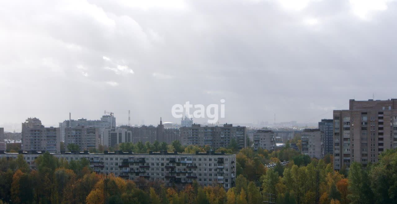 квартира г Санкт-Петербург р-н Красногвардейский ул Львовская 9 округ Полюстрово фото 15