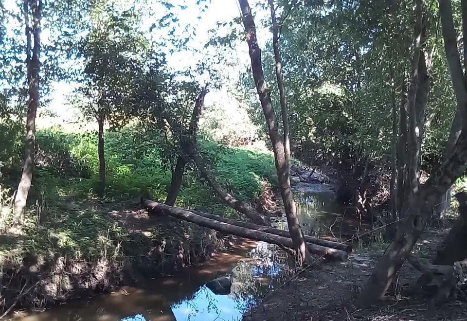 земля городской округ Можайский садоводческое некоммерческое товарищество Лесная Губерния, Верея фото 7