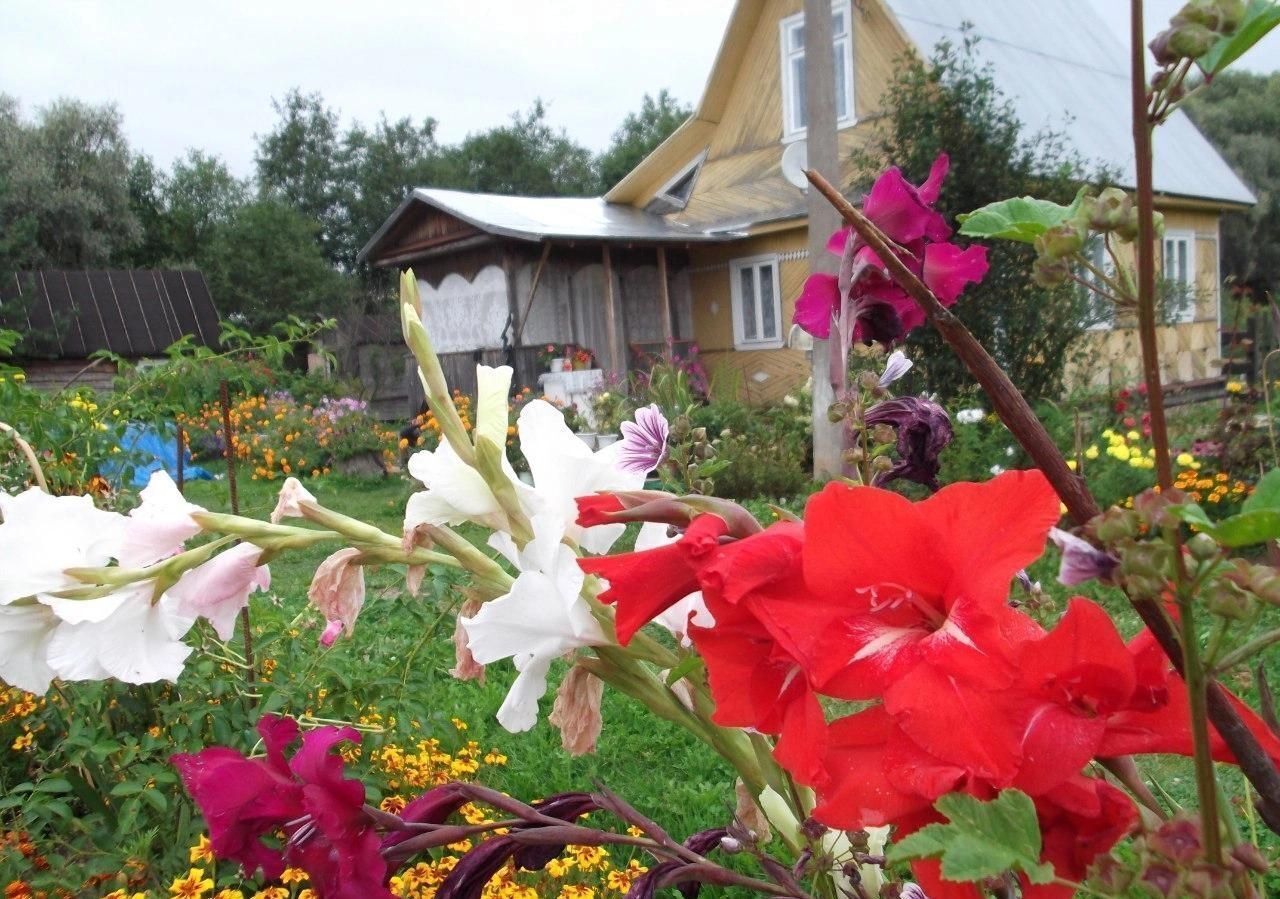 земля р-н Парфинский Федорковское сельское поселение, СДТ массив Гидролизник, Парфино фото 3