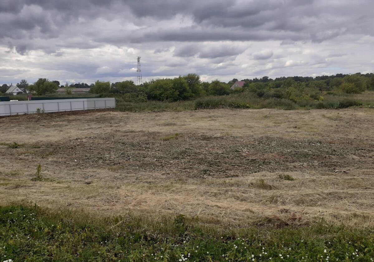 земля р-н Башмаковский рп Башмаково ул Московская городское поселение Башмаково фото 1