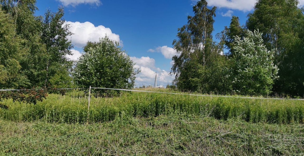 земля р-н Гурьевский п Авангардное б-р Петра Великого Гурьевск фото 10