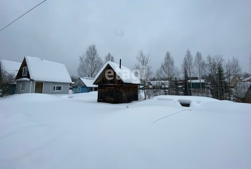 земля г Сыктывкар территория Дырносский, СНТ Кедр фото 1