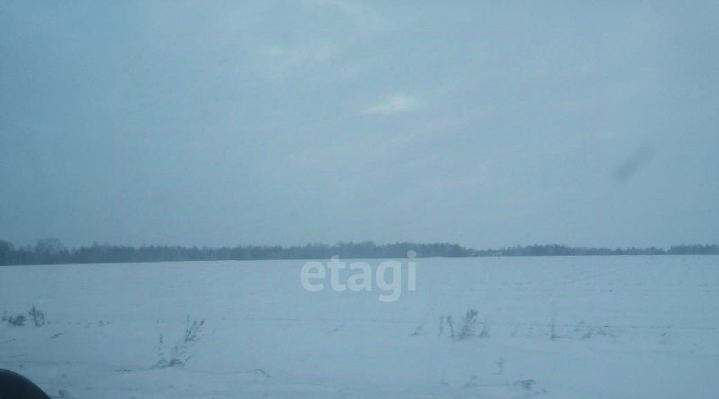 земля г Шадринск снт Голубые Ключи фото 8