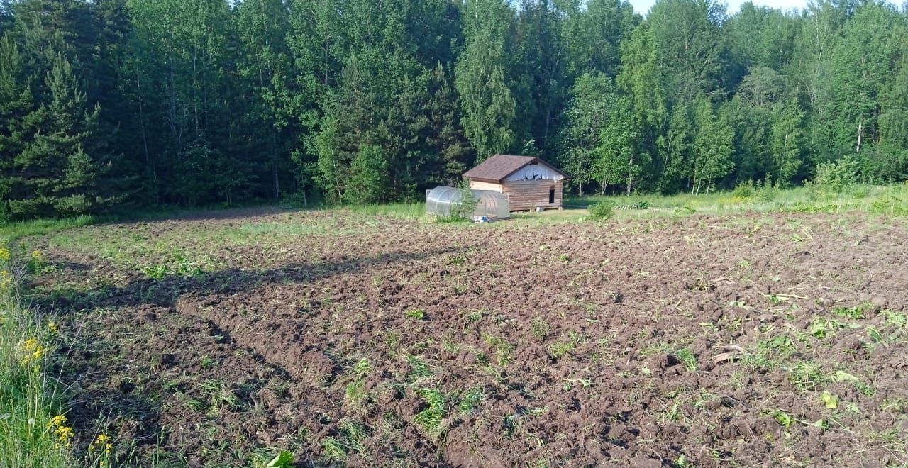 земля р-н Лужский д Новый Брод Луга фото 8