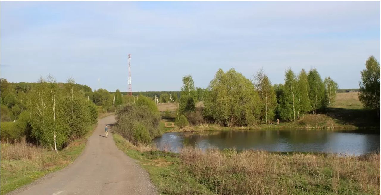 земля городской округ Ступино п Малино дп. Ясные Зори-3, 109, г. о. Ступино фото 1