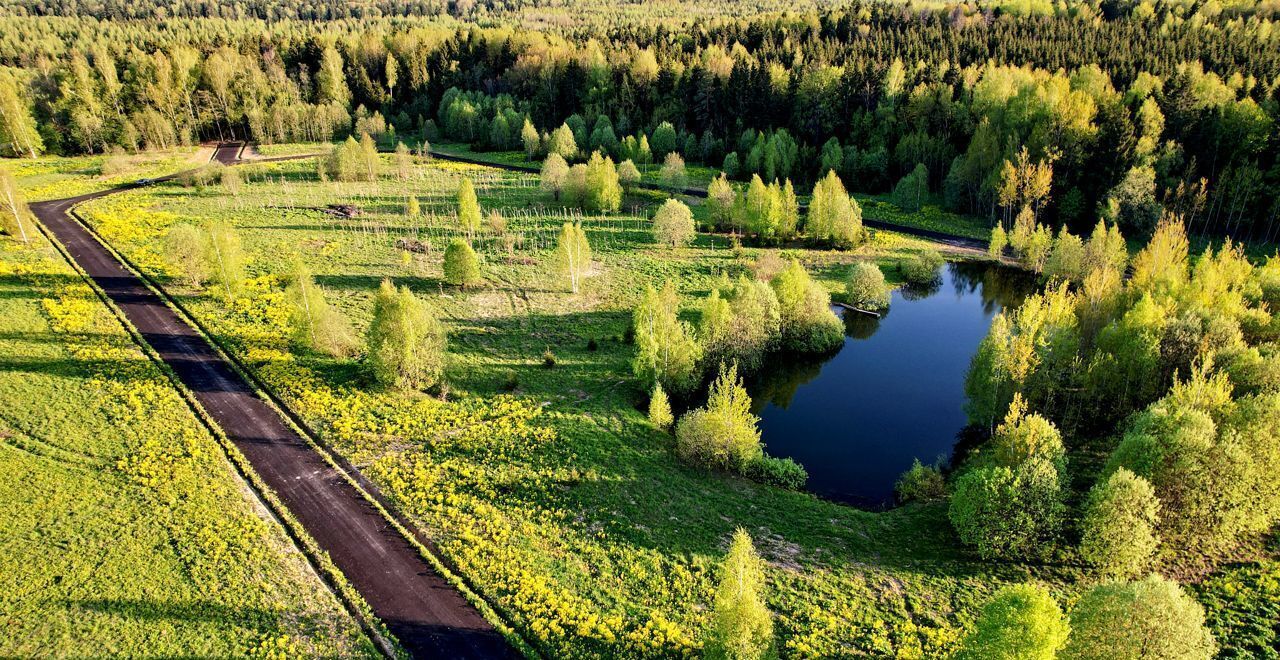 земля городской округ Сергиево-Посадский д Березняки 36, Сергиев Посад фото 4