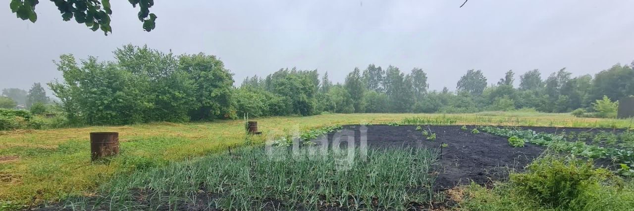 земля р-н Грязинский с Головщино ул Детская 2 Плехановский сельсовет фото 7