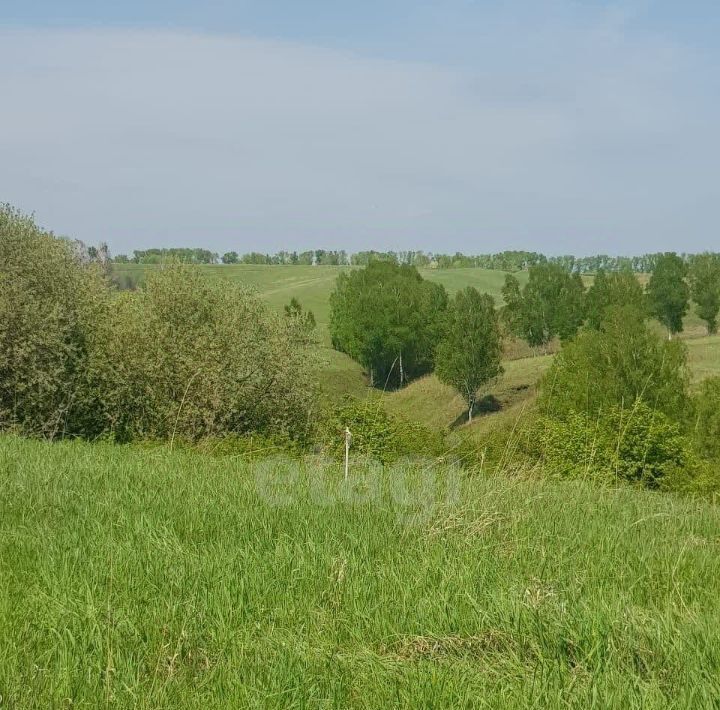 земля р-н Новокузнецкий с Бедарево ул Зеленая фото 7