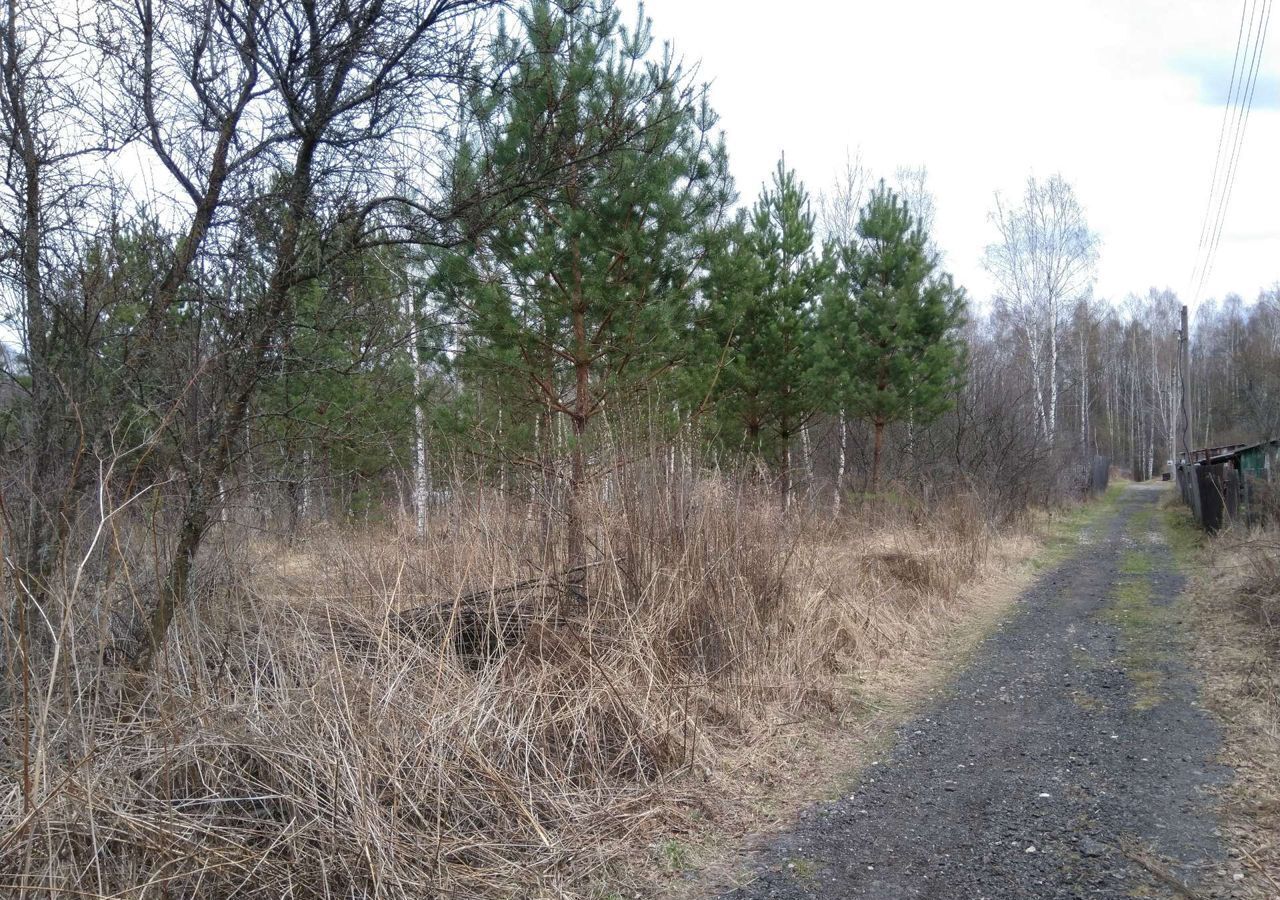 земля р-н Богородский д Инютино сад Осиновый ключ Буревестник фото 2