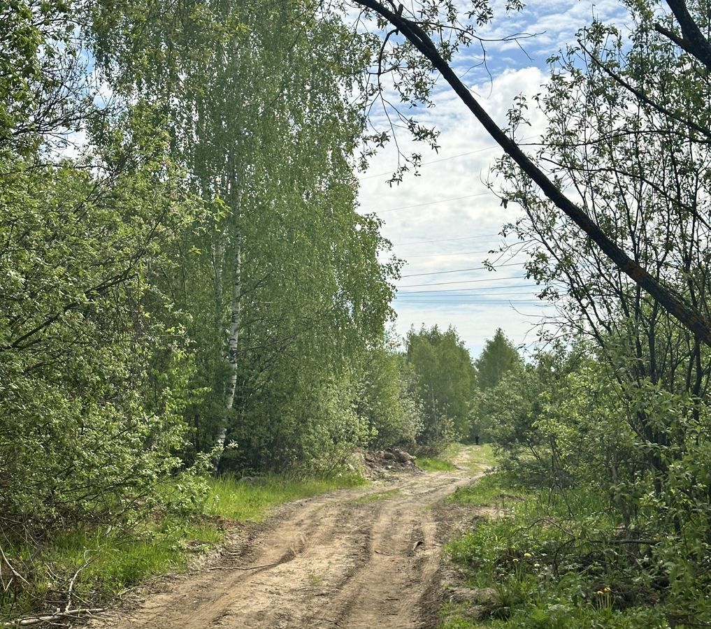 земля городской округ Раменский с Речицы фото 26