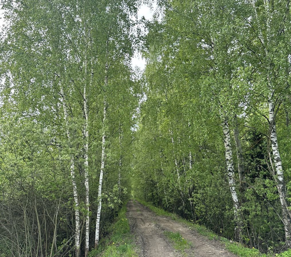 земля городской округ Раменский с Речицы фото 25