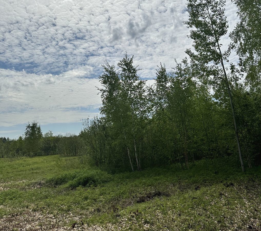 земля городской округ Раменский с Речицы фото 15