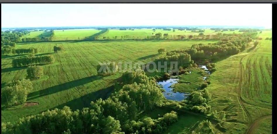 земля р-н Новосибирский с Верх-Тула Верх-Тулинский сельсовет фото 2