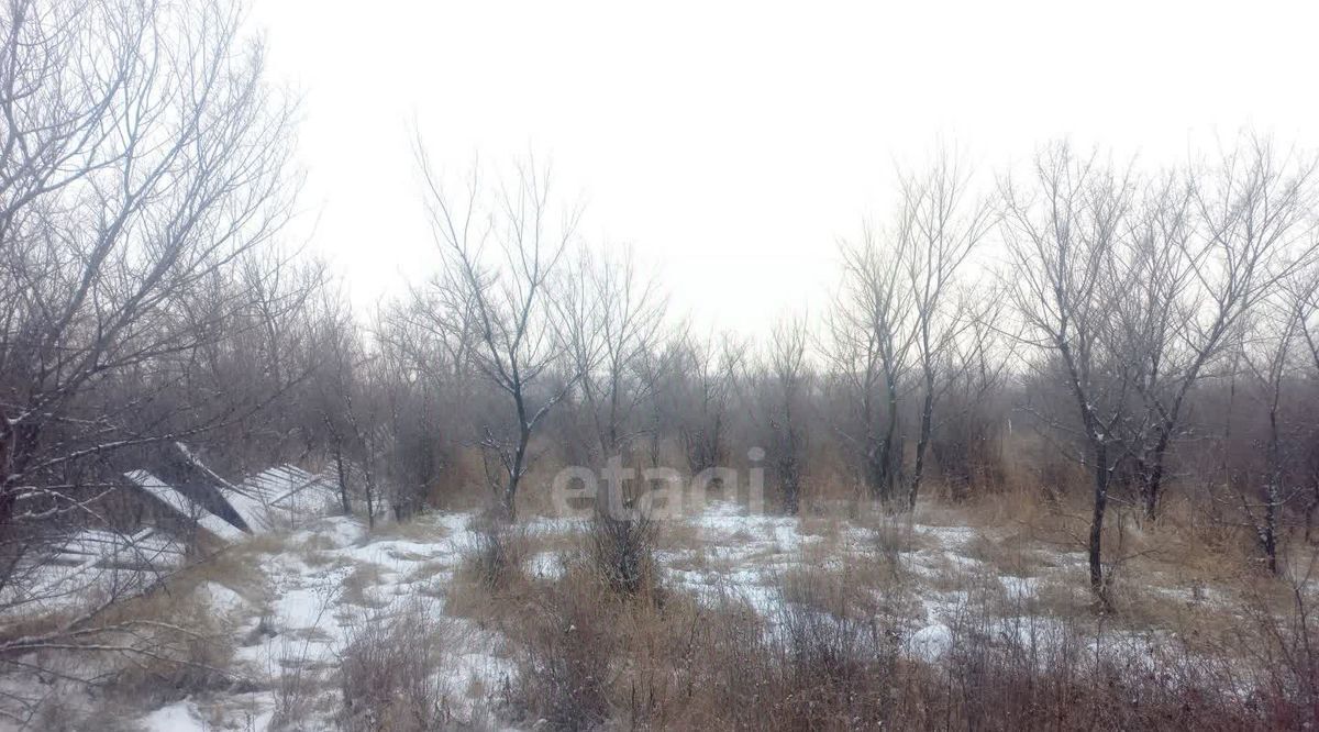 земля р-н Алтайский с Подсинее ул Садовая фото 3