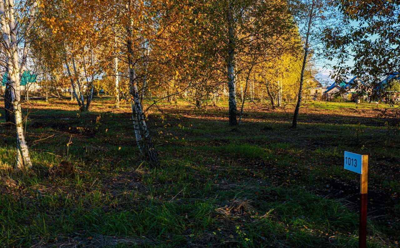 земля р-н Орловский п Бойцовский Орёл фото 8