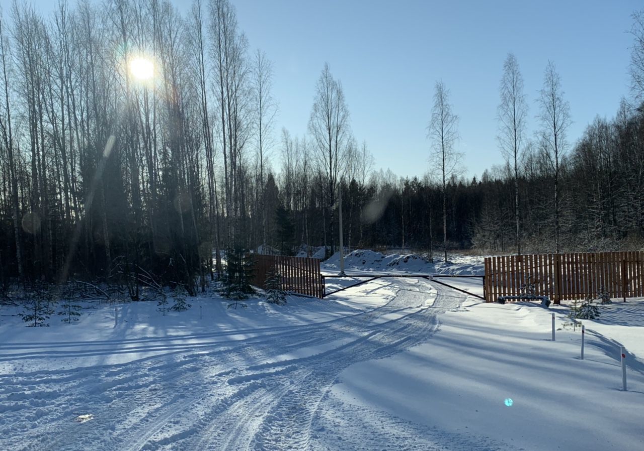 земля р-н Всеволожский г Всеволожск Дорога жизни, 10 км, Всеволожское городское поселение фото 9