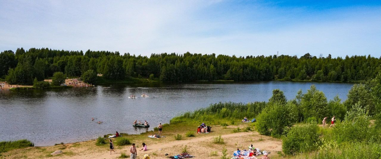 дом р-н Тихвинский снт Заречное Сертоловское городское поселение, ул. Шведская, 53, Всеволожский район фото 32