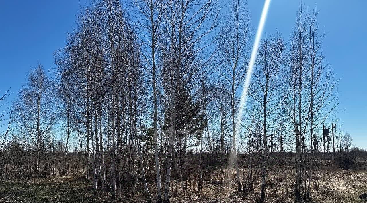 земля г Новосибирск р-н Калининский Заельцовская Садоводческого товарищества Пашинская Заря тер., 152 фото 2