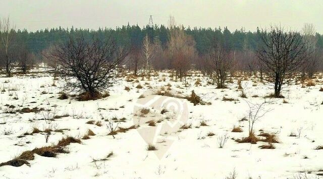 земля с Каплино Старооскольский городской округ фото