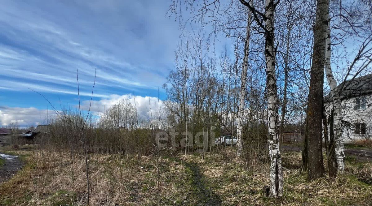 земля р-н Боровичский г Боровичи ул Салтыкова-Щедрина городское поселение Боровичи фото 2