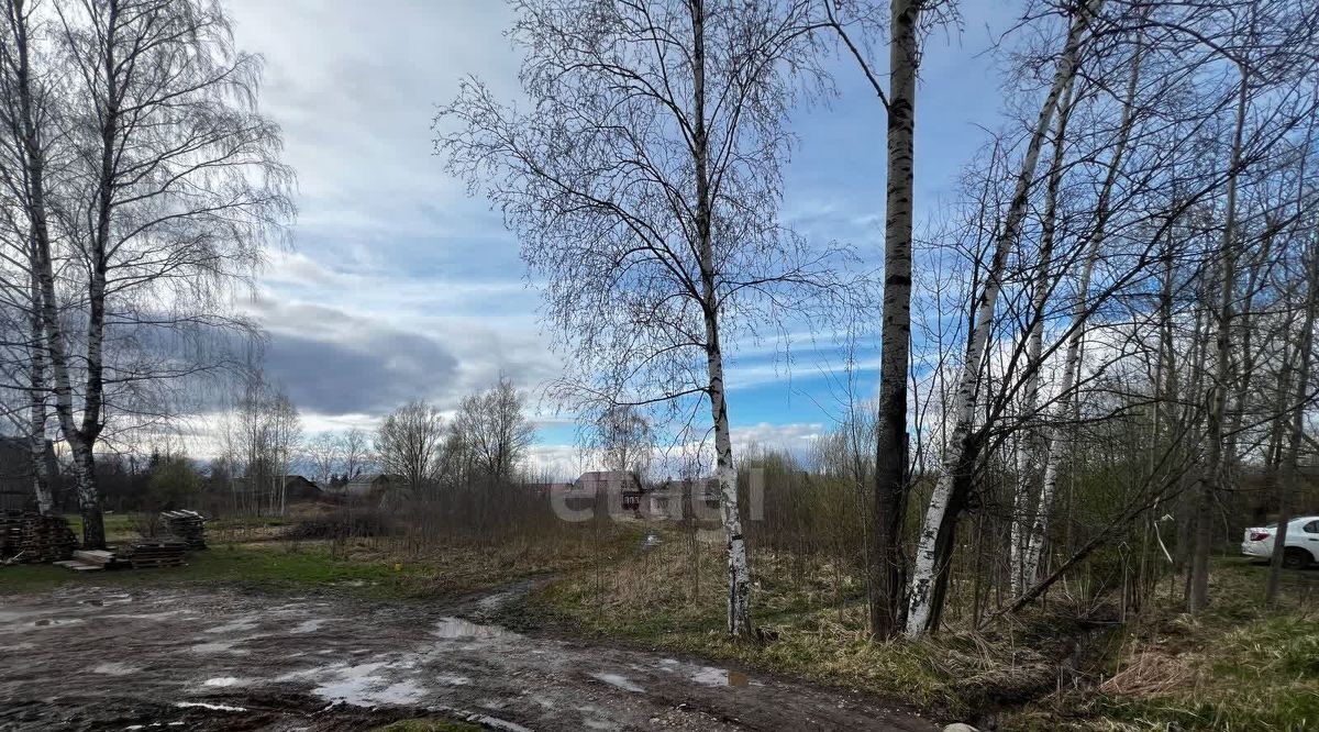 земля р-н Боровичский г Боровичи ул Салтыкова-Щедрина городское поселение Боровичи фото 7