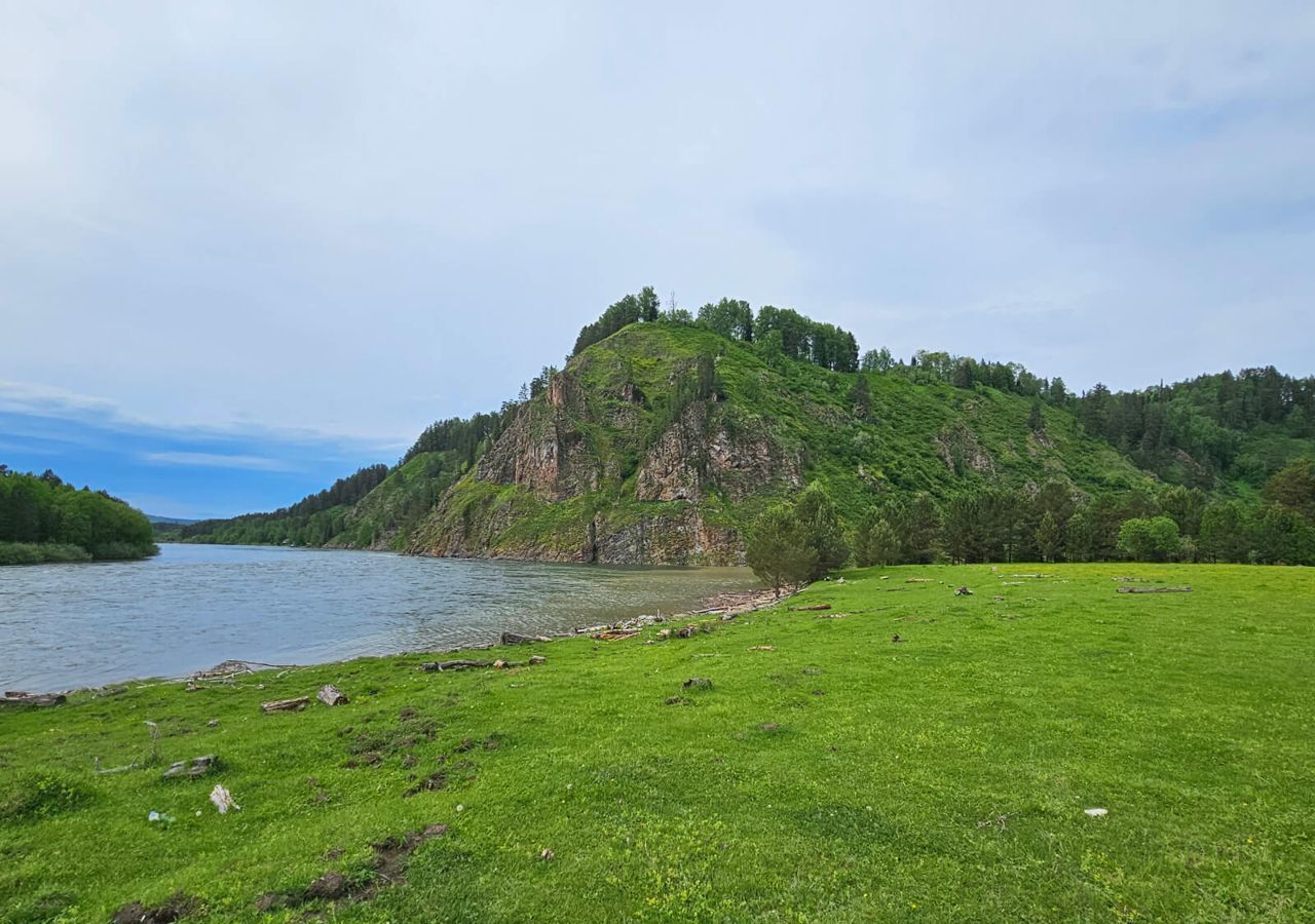 земля р-н Турочакский с Тулой Турочак фото 3