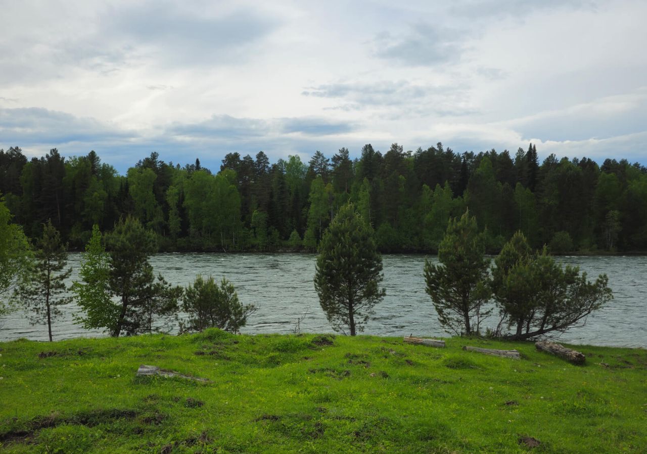 земля р-н Турочакский с Тулой Турочак фото 5