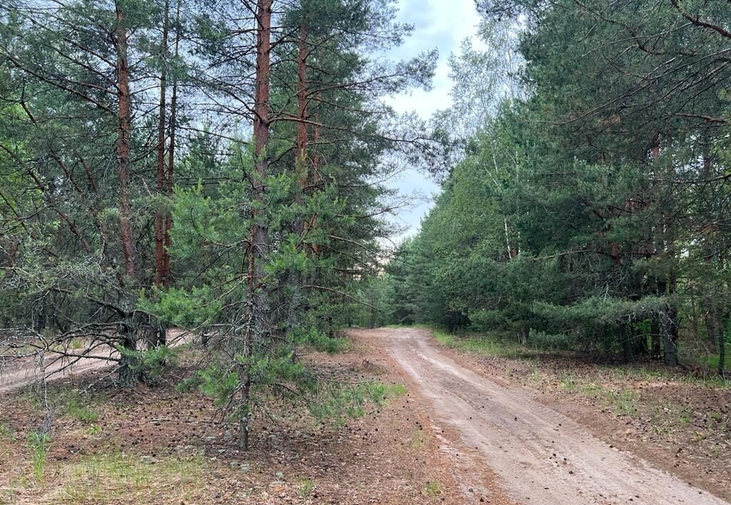 земля р-н Петушинский д Борок муниципальное образование Петушинское, Петушки фото 6