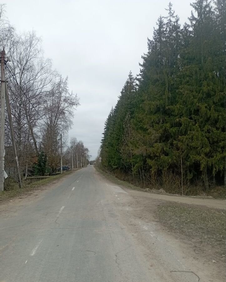 земля р-н Гатчинский п Дружная Горка ул Горького Дружногорское городское поселение фото 9