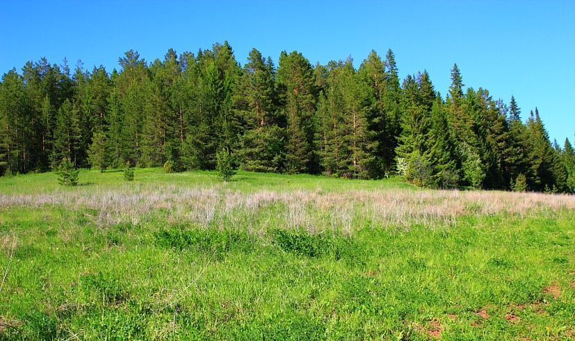 земля р-н Пермский Култаевское сельское поселение, Пермь фото 1