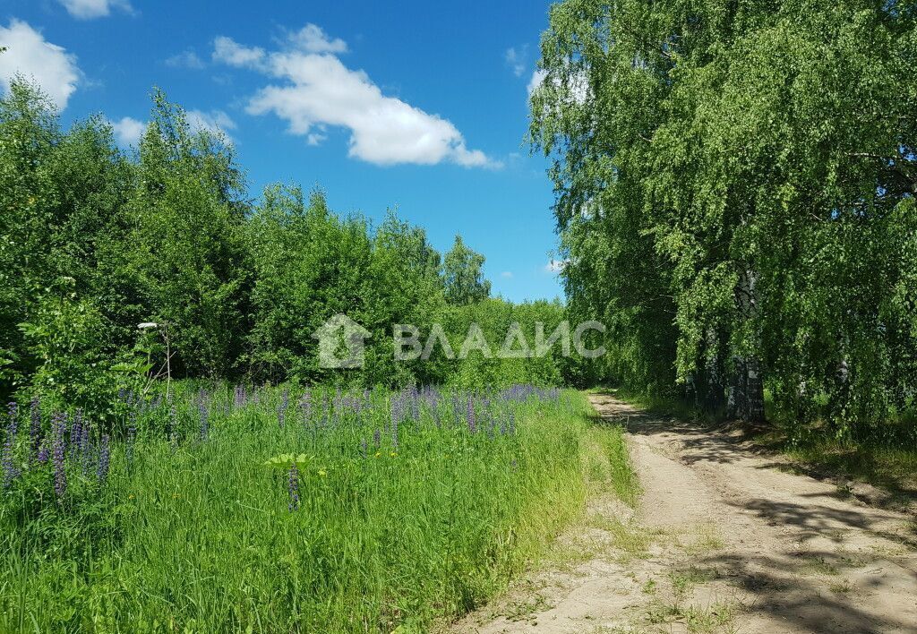 земля р-н Богородский с Дуденево Дзержинск фото 2