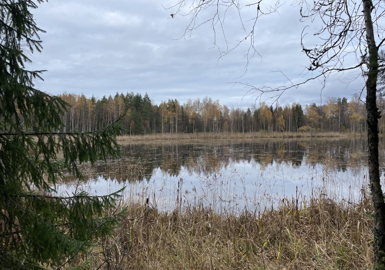 земля р-н Приозерский г Приозерск Приозерское городское поселение фото 7