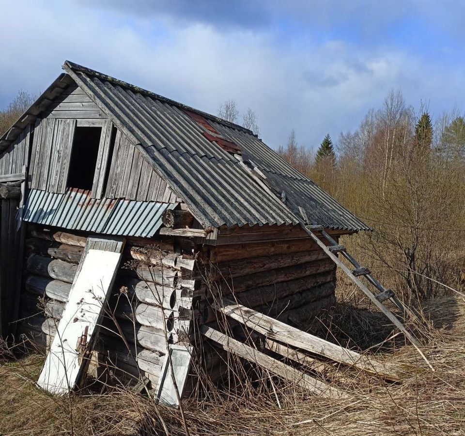 земля р-н Лодейнопольский г Лодейное Поле Янегское сельское поселение фото 4