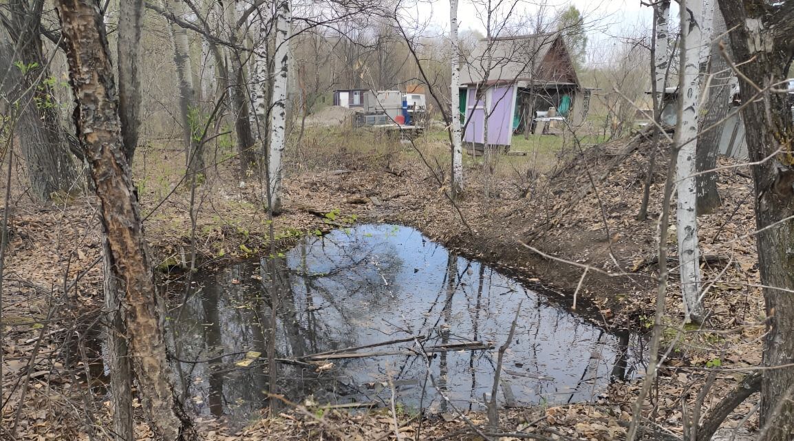 земля р-н Хабаровский с Сергеевка снт Тополек фото 13