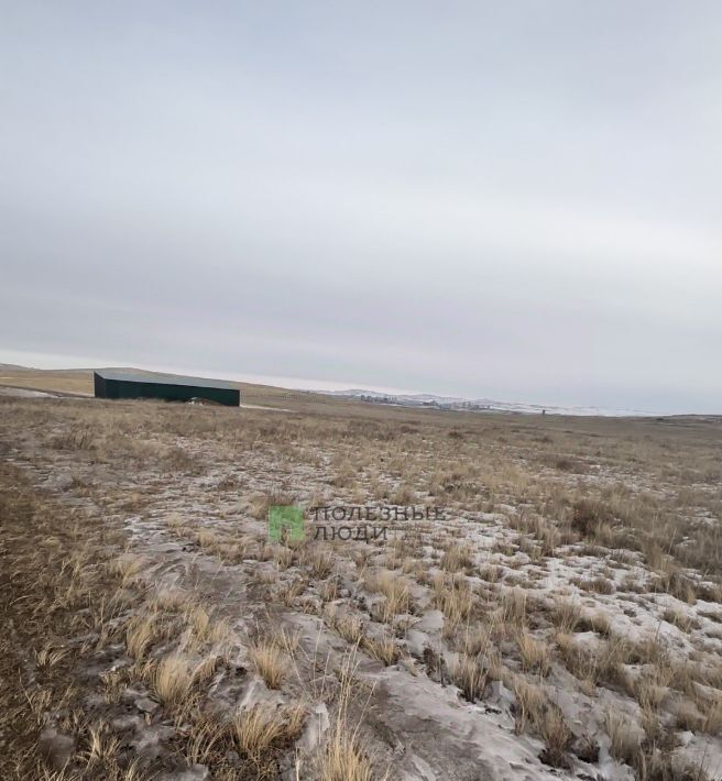 офис р-н Забайкальский пгт Забайкальск Забайкальское городское поселение фото 2