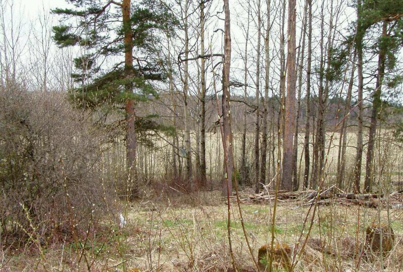 земля р-н Выборгский г Светогорск Светогорское городское поселение, городской пос. Лесогорский, Октябрьская ул фото 2