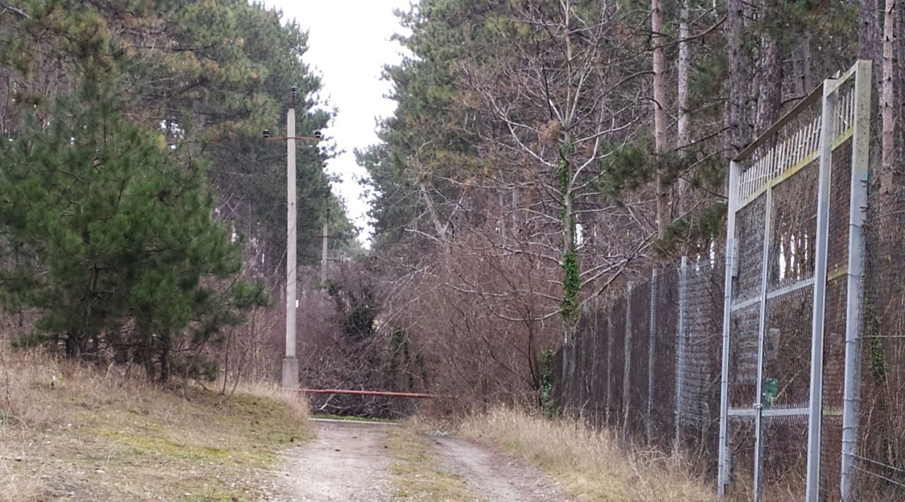 дом г Евпатория снт Сосновый бор с пос, 32, Симферопольский район, Добровское фото 6