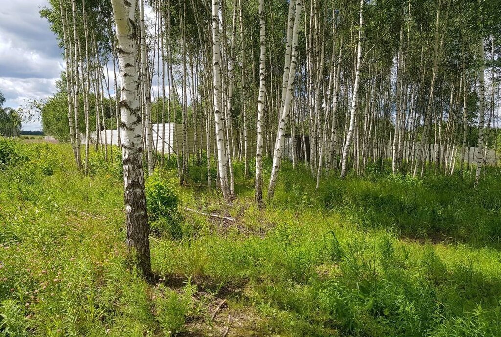 земля городской округ Дмитровский д Капорки Лобня фото 12