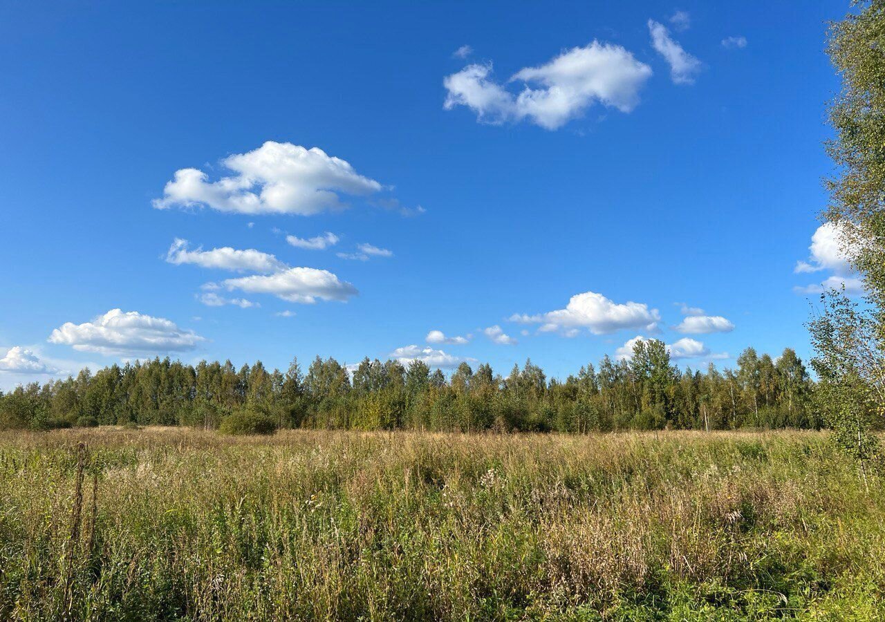 земля городской округ Раменский д Глебово 81/2, Речицы фото 2