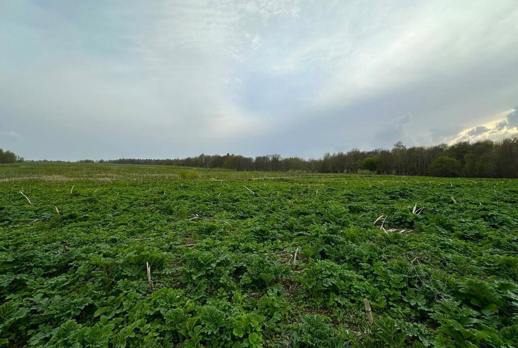 земля городской округ Дмитровский коттеджный поселок «Сорочаны» городской округ Клин фото 16