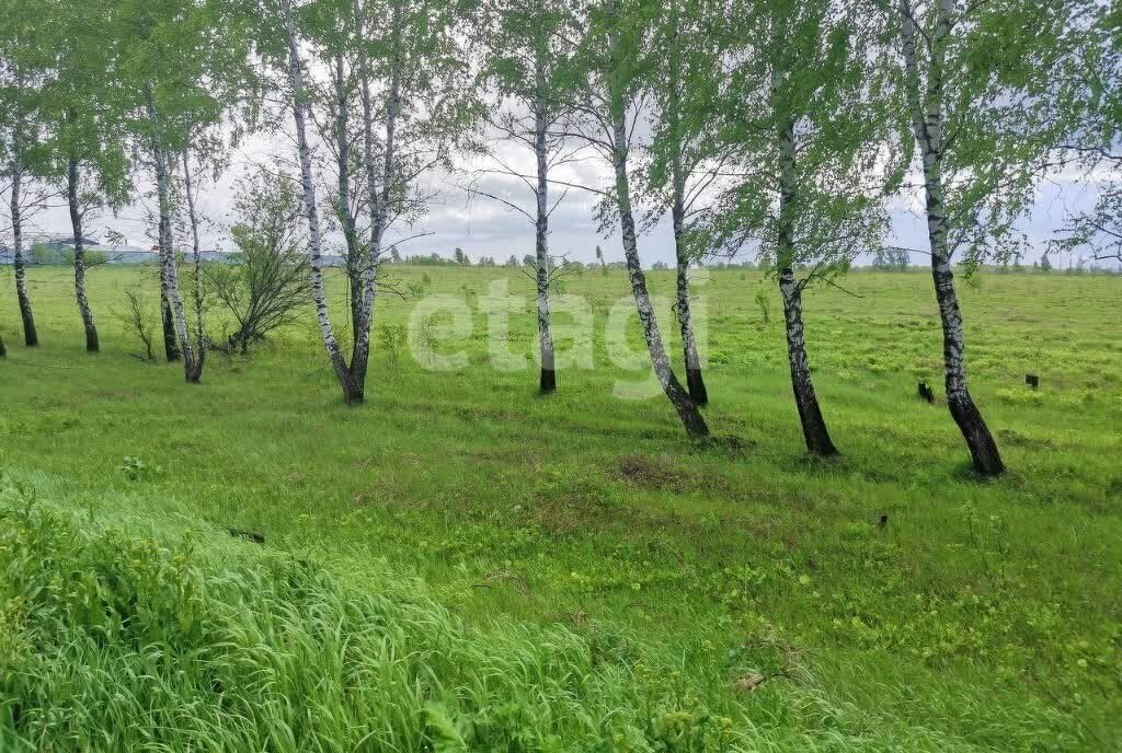 земля р-н Ленинский д Сеженские Выселки муниципальное образование фото 1