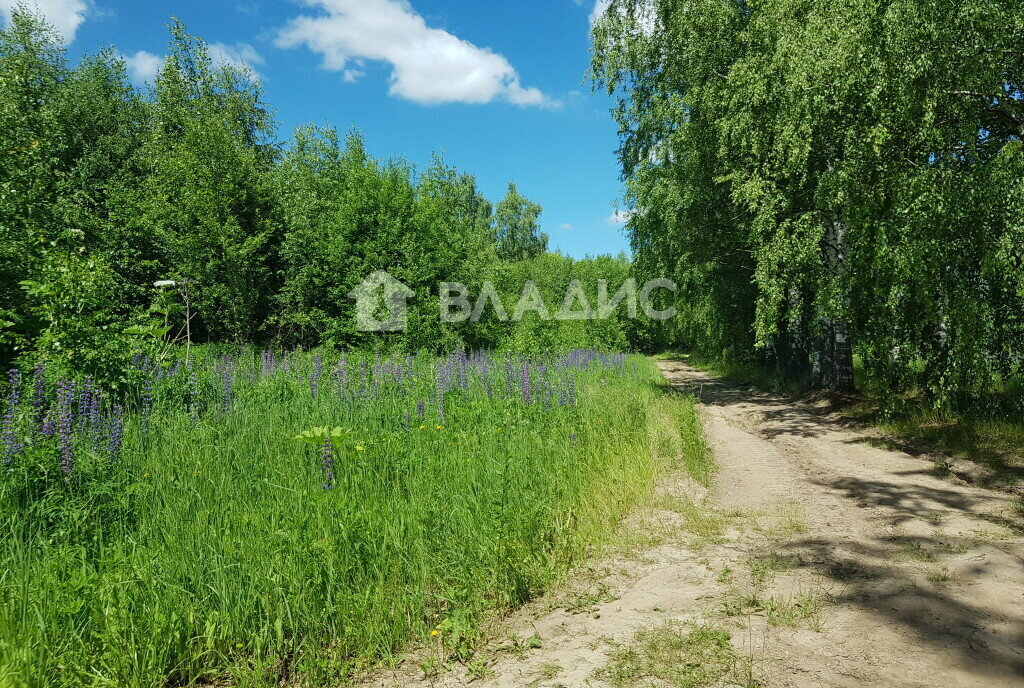 земля р-н Богородский с Дуденево фото 1