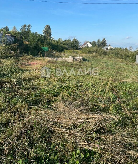 земля р-н Гороховецкий д Слукино муниципальное образование Куприяновское фото 1